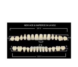 Зубы NewAce B3-S4 (28шт)