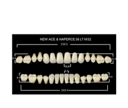 Зубы NewAce C2-S6 (28шт)