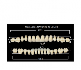 Зубы NewAce C2-T3 (28шт)