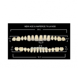 Зубы NewAce C3-T4 (28шт)