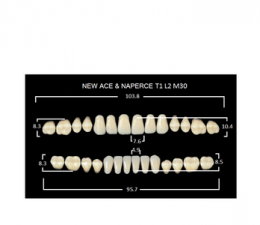 Зубы NewAce А2-Т1 (28шт)