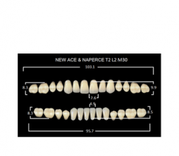 Зубы NewAce А2-Т2 (28шт)