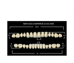Зубы NewAce B2-S2 (28шт)
