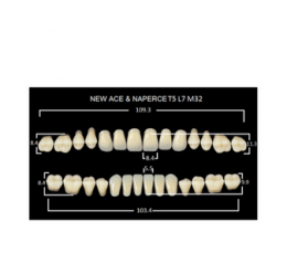 Зубы NewAce В3-Т5 (28шт)