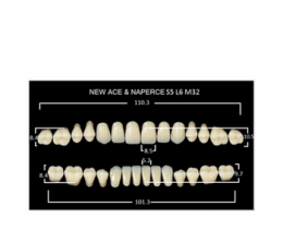 Зубы NewAce C2-S5 (28шт) Gloria